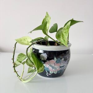 Vintage Chinoiserie Porcelain Ceramic Fish Bowl Planter Pot Navy Blue Floral